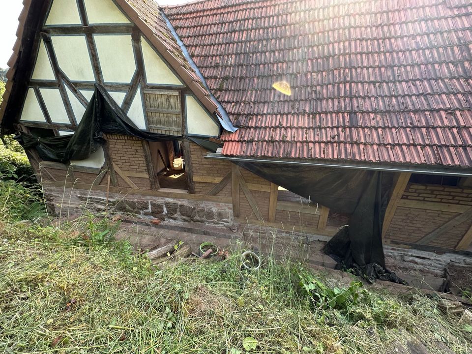 Tag 216 - Das letzte Gefach...